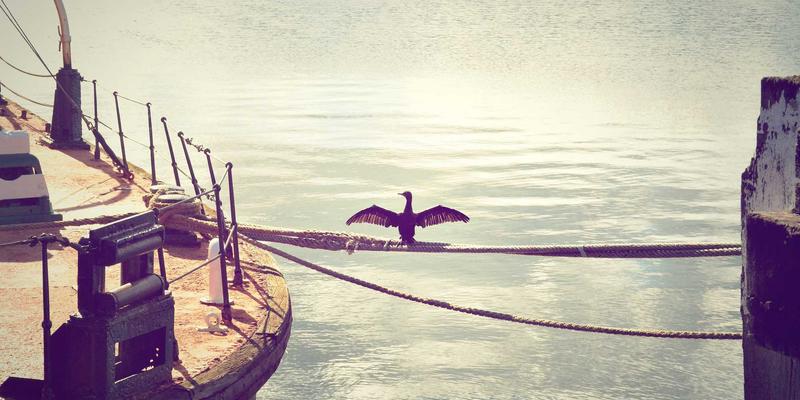 NetDevOps实战:如何用Ansible与Python构建智能网络,实现配置自动化与故障自愈