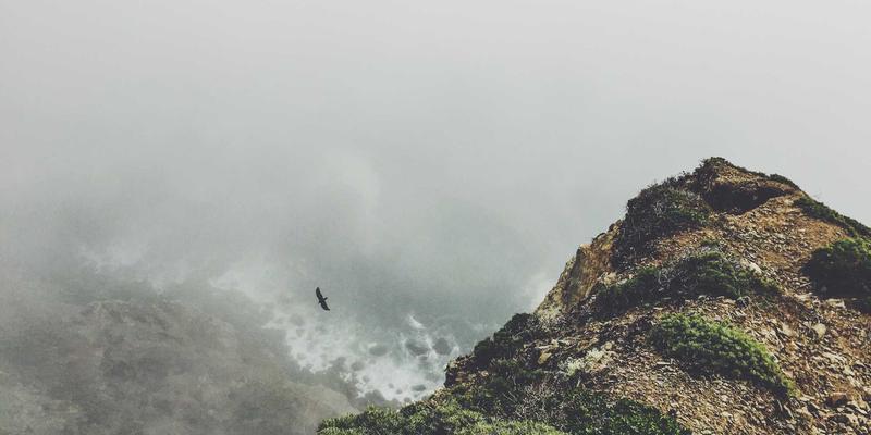 P4编程实战:从自定义协议到智能负载均衡,解锁网络数据平面的终极可编程能力