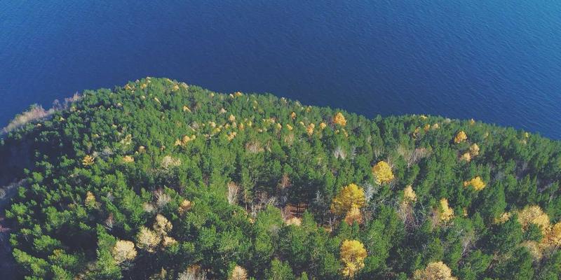 从物理到云端：网络虚拟化如何重塑数据中心？一个基于ZDKMS的实战解析