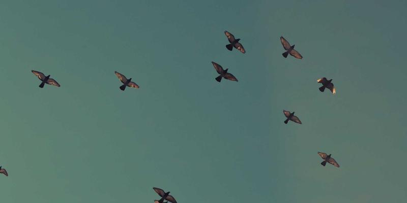 告别卡顿时代:QUIC协议如何根治TCP队头阻塞,为Web与移动应用注入超流体体验?