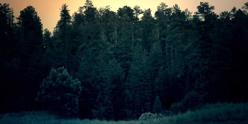 告别天价专线！SD-WAN与MPLS网络成本效益深度拆解，企业如何节省30%以上网络开支？