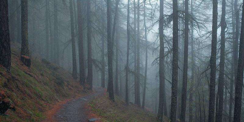 构筑数字防线：企业级防火墙与入侵检测系统（IDS）实战部署指南